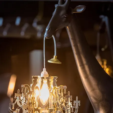 Mana - Cupidon Avec Superbe Vue Place Ducale Parking Inclus Apartment