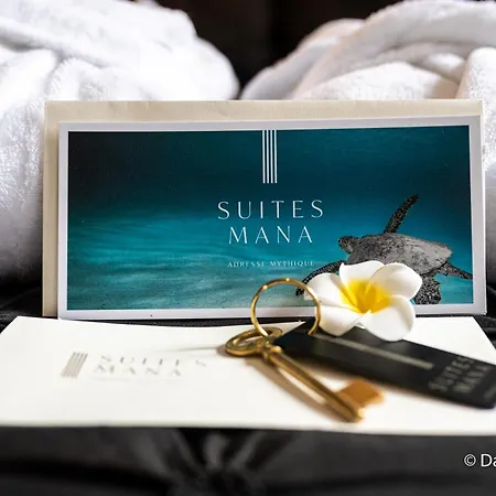 Mana Cupidon Avec Vue Place Ducale Et Parking Inclus